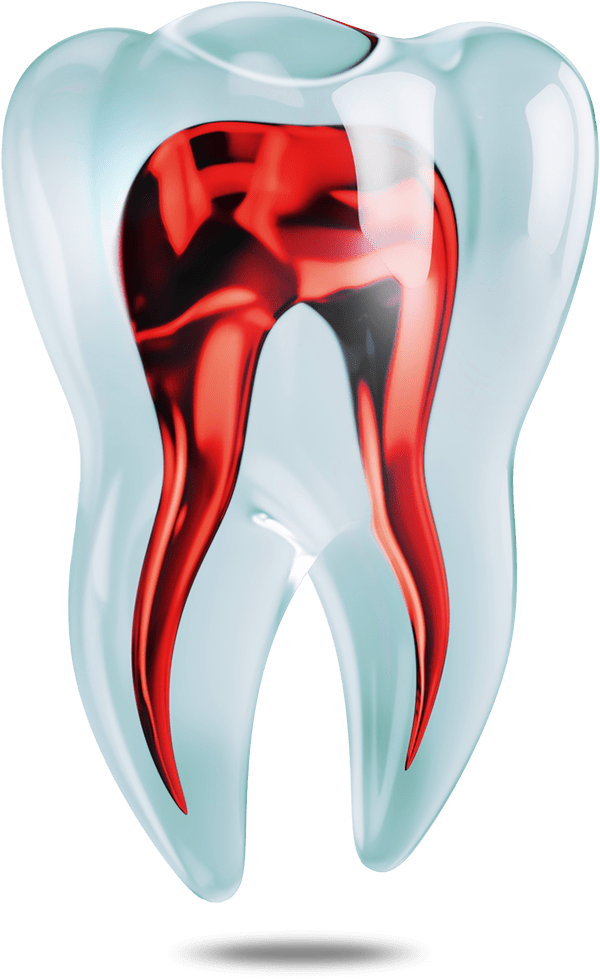 tooth graphic Waterford, CT