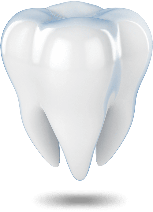 tooth model Waterford, CT